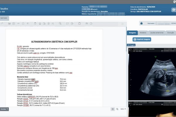 3 Editor_de_Laudo